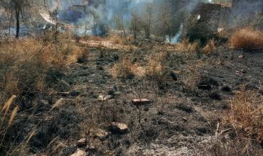  Bomberos y Policía sofocaron quema de pastizales en Milagro