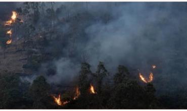 España: el gobierno dará ayuda a las zonas afectadas por incendios forestales