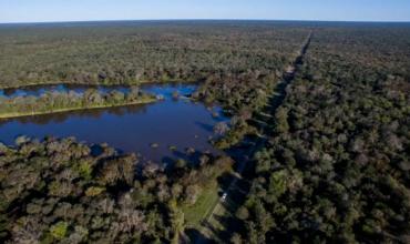 Salta: para proteger sus bosques nativos, la provincia reglamentó las áreas de producción y conservación