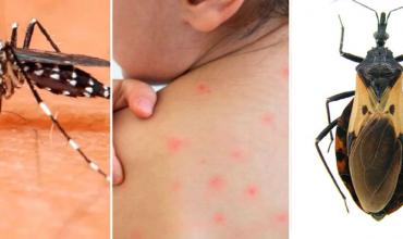 3 de cada 10 personas con la enfermedad de Chagas desarrollan síntomas: ¿qué es?