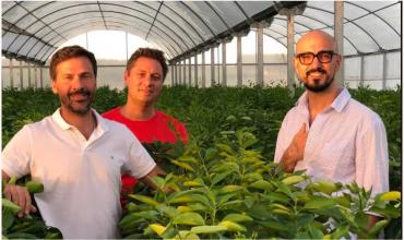 Lo trajo Sarmiento: ya se producen 4000 toneladas del superfruto que tiene como “embajador” a Abel Pintos