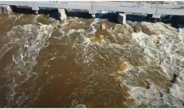 Por las inundaciones y la falta de obras, peligra la producción de trigo