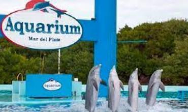 Ponen fin a los espectáculos marinos por las malas condiciones y preocupa el destino de los delfines
