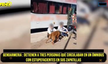 Chepes: Gendarmería detuvo a tres personas que circulaban en un ómnibus con estupefacientes en sus zapatillas