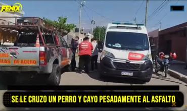 Un motociclista resultó herido tras chocar contra un perro en calle 20 de Junio