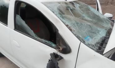 Automóvil chocó con un caballo