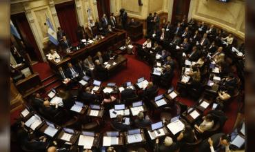 El Senado sesionará este jueves para rechazar los vetos de Milei en Garrahan y universidades