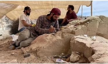 El nuevo streaming del Conicet en busca de una nueva especie de dinosario: cuándo empieza y dónde verlo
