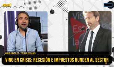 Mario González: “En lo que va del año, la venta de vino cayó un 12%”