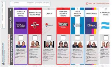 La Justicia rechazó el pedido del Gobierno para reimprimir las boletas en PBA y se mantendrá la foto de Espert