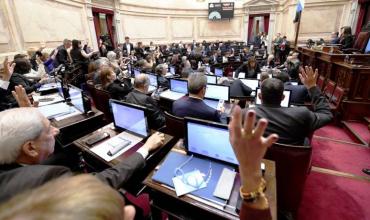 Nueve bancas en el Senado: el peso estratégico de la Patagonia en esta elección y las chances del Gobierno