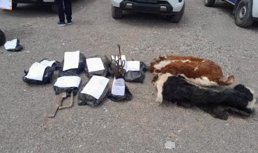 Abigeato en La Rioja: Guandacol fue epicentro del desmantelamiento de una banda