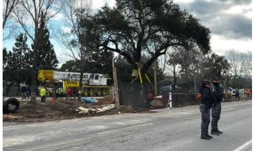 Tras el traslado del árbol quebracho de casi 300 años, cómo siguen las obras para ampliar la avenida en Villa Allende