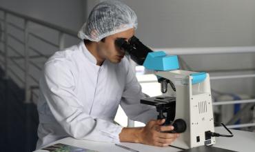 Leucemia linfocítica crónica: sin quimioterapia, aprueban tratamiento que frena la enfermedad