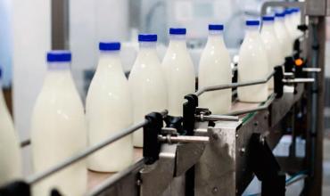 El sector lácteo mostró una recuperación del 11% en medio de altos precios en dólares