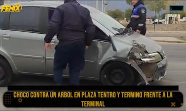 Manejaba borracha, chocó contra un árbol y terminó frente a la terminal
