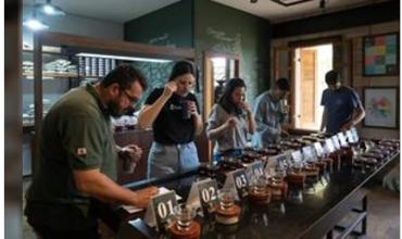 El cultivo de café florece en el estado amazónico de Brasil y promete transformar economía local