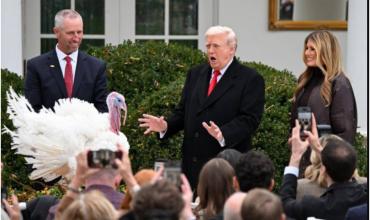  Trump indultó a dos pavos por Acción de Gracias y anuló los perdones otorgados por Biden