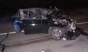 Chilecito: una pareja chocó contra un caballo suelto en Ruta 74 y piden identificar al dueño del animal