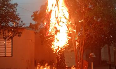 Un rayo impactó en una palmera y generó un principio de incendio en el barrio Círculo Policial