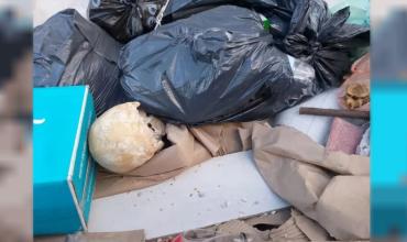 Un macabro hallazgo causó estupor en Playa Grande en pleno inicio de la temporada de Mar del Plata