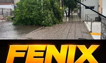 ÁRBOL CAÍDO POR EL TEMPORAL EN PLENA CIUDAD