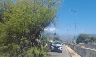 Un árbol caído bloqueó una calle en barrio Jardín Residencial