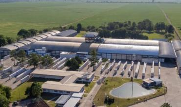 La principal textil del país cerró una planta en Tucumán y suspendió a 190 trabajadores