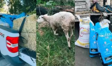 Brindan asistencia técnica y veterinaria ante las más de 22 mil hectáreas incendiadas en Chubut