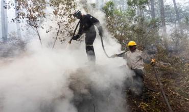 Incendios en Chubut: las llamas se reactivaron en algunos puntos debido a las condiciones climáticas