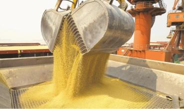 Preocupación de la agroindustria por una letra chica incluida en el acuerdo entre el Mercosur y la UE