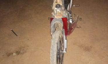 Motociclista resultó con lesiones leves tras colisionar con un animal vacuno