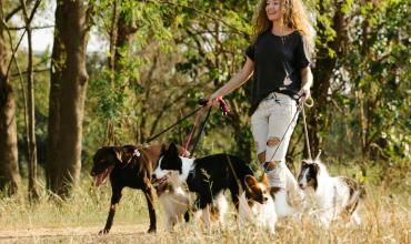 Los 10 países con más perros en el mundo: el puesto que ocupa Argentina te va a sorprender