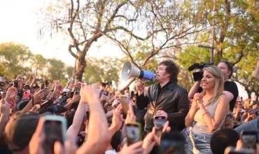 Virginia Gallardo reutilizó sus carteles de propaganda política para hacer refugios para perros callejeros