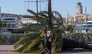 Los fuertes vientos dejan al menos tres heridos graves y varios lesionados en Cataluña: ráfagas de más de 150 km/h en Barcelona
