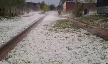 Fuerte caída de granizo en Campanas: pérdidas totales en nogales y otros cultivos