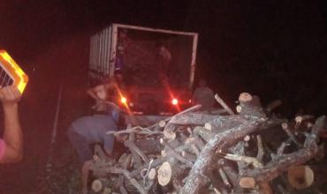 Volcó un camión con carga de leña sobre Ruta 141 en Chepes