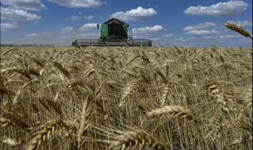 Guerra en Medio Oriente: se disparó el precio de un insumo agrario clave y se espera un fuerte impacto en el campo argentino