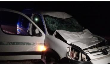 Violento choque contra un equino en ruta 75: el animal murió en el acto