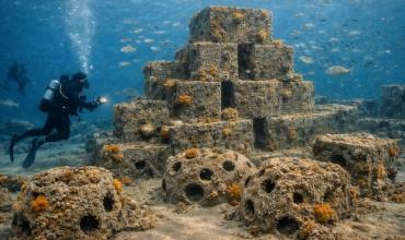 Crearán un parque de arrecifes artificiales subacuáticos en Puerto Madryn: será el primero de la región