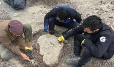 Hallan nuevos fósiles de Arcosaurios en el Parque Talampaya