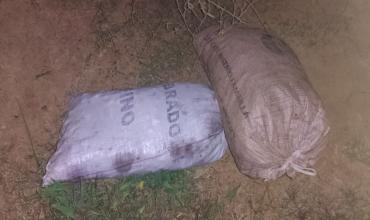 Famatina: detuvieron a un hombre por el robo de nueces en una finca de Banda Sur