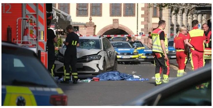 337960_1777925674.jpg