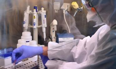 Qué dijo la OMS sobre la posibilidad de otra pandemia por el brote mortal de hantavirus