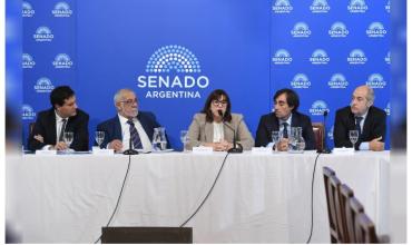 El Senado hará dos nuevas audiencias públicas con más candidatos ligados a la “familia judicial”