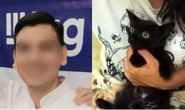 Terror en Recoleta: denuncian a un "asesino serial" de gatos que mató a 16 mascotas