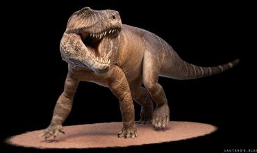 Sorprendente hallazgo en La Rioja: un antecesor gigante del cocodrilo de hace 237 millones de años