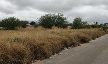 Preocupación por la basura, los yuyos y los malos olores en inmediaciones de la Terminal de Ómnibus
