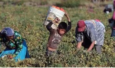 Trabajo infantil en Argentina: una realidad que no podemos seguir ignorando