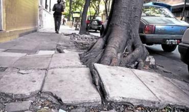 Arquitectos alertan por el estado de las veredas y proponen un trabajo conjunto con el Municipio
